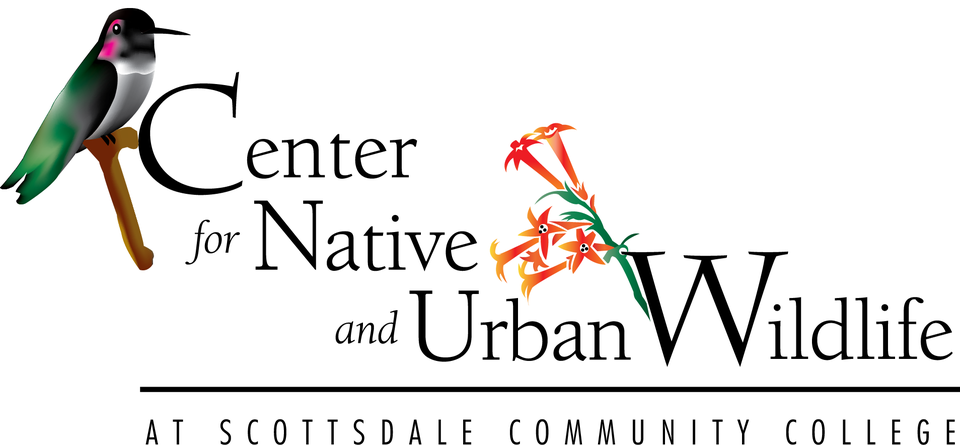 Center for Native and Urban Wildlife logo with a bird and flower illustration.